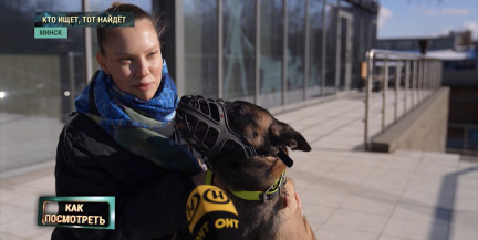 В Беларуси запустили сервис поиска потерявшихся животных