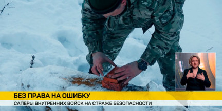 Саперы внутренних войск в 2025 обезвредили 27 тысяч взрывоопасных предметов