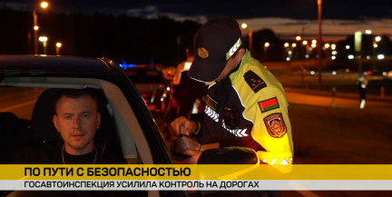 От проверки документов до системы мониторинга, какие меры предпринимает ГАИ для обеспечения безопасности на дорогах