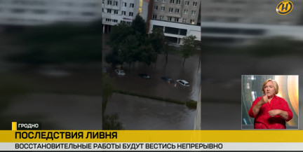 Машины по стекла в воде и 169 рухнувших деревьев: Гродно оправляется от мощнейшего ливня