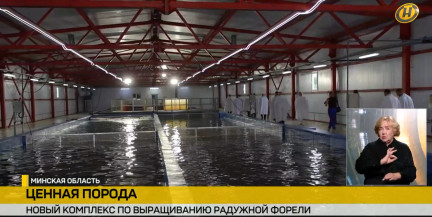 Новый комплекс по выращиванию радужной форели открыли под Столбцами