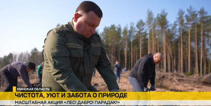 Сенаторы и сотрудники военпрома приняли участие в акции «Лес! Добро! Порядок!»