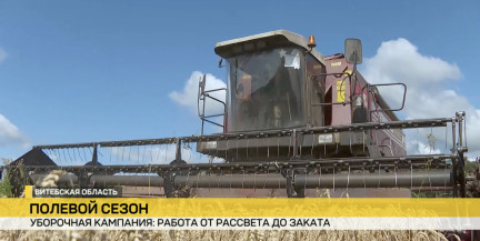 Знают секрет вкусной картошки фри. Толочинский консервный завод – среди передовиков уборочной