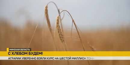 «С хлебом будем!»: как в Беларуси идет уборочная кампания