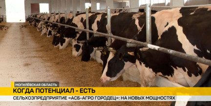 Модернизация, дисциплина, технология: как «Агро‑Городец» вышел на новые показатели в растениеводстве и животноводстве