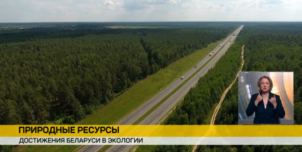 Миллион гектаров новых лесов в Беларуси: итоги и достижения представили в Минской ратуше