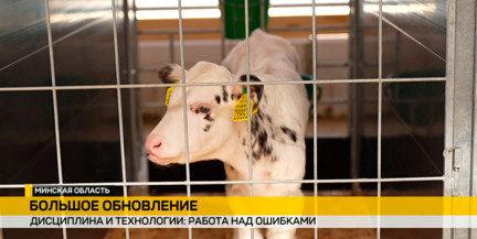 40 тонн молока в сутки: модернизация в «Нестановичи Агро» вывела хозяйство на вторую строчку района