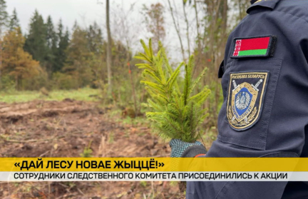 Сотрудники Следственного комитета высадили саженцы дуба и ели в рамках акции «Дай лесу новае жыццё!»