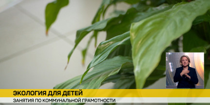 «Коммунальная грамотность – с уроков»: школьников Минской области научат разбираться в ЖКХ