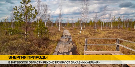 В заказнике «Ельня» началась реконструкция