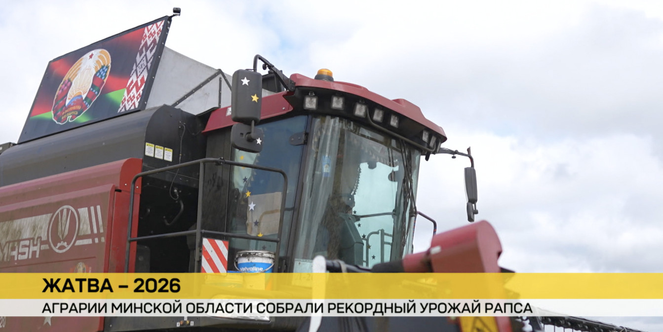 Минская область собрала рекордный урожай рапса