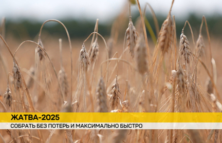 Аграрии по всей стране стараются внести максимальный вклад в общереспубликанский каравай – сюжет ОНТ