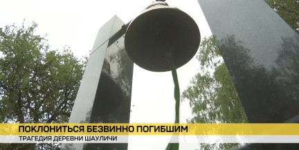 Повторила судьбу Хатыни: в Шауличах почтили память жертв трагедии 1943 года