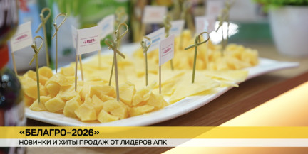 В Минске продолжается выставка «Белагро-2026»: какие новинки и хиты представлены на площадках