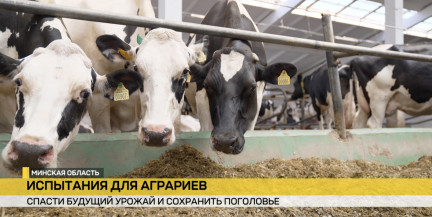 Как аграрии преодолевают трудности на фоне погодных аномалий