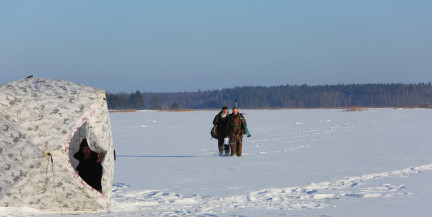 Запрет на лов щуки вводится в Беларуси с 1 марта