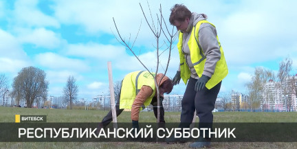 Как в Витебске прошел Республиканский субботник и каких результатов достигли?