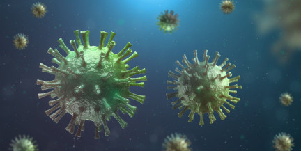 Какие вирусы сейчас «гуляют» по Беларуси, рассказала специалист