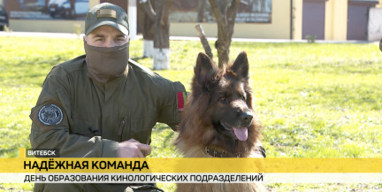 День образования кинологических подразделений МВД отмечают в Беларуси. Как тренируют четвероногих помощников?