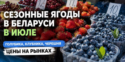 Сезонные ягоды в Беларуси в июле (голубика, черника, клубника, черешня): цены на рынках