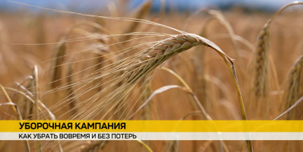 Урожай‑2026: республиканский каравай почти достиг 6 миллионов тонн