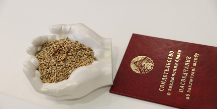 Белстат назвал топ‑5 стран по бракам с белорусками в 2025 году