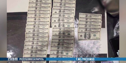 Брестские правоохранители пресекли схему системной коррупции в АПК