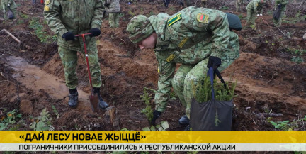 «Дай лесу новае жыцце»: пограничники присоединились к акции по восстановлению лесов