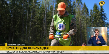 «Вместе для добрых дел!» Как прошла экологическая акция компании FIX PRICE