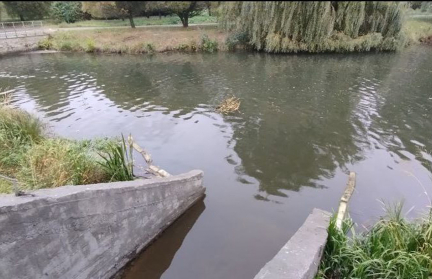 Все в норме. Специалисты проверили Свислочь после слива загрязненных сточных вод