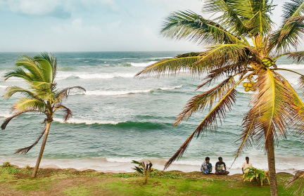 МИД Шри-Ланки: Сезонная вспышка лихорадки чикунгунья не опасна для туристов
