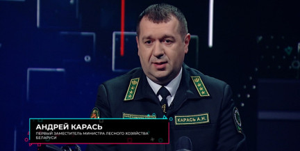 Сколько леса в Беларуси приходится на одного белоруса?