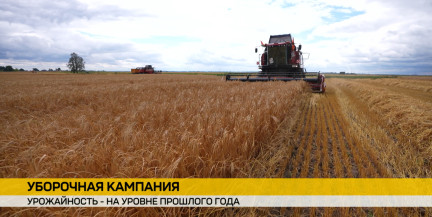 В Минсельхозпроде рассказали, как идет уборочная кампания