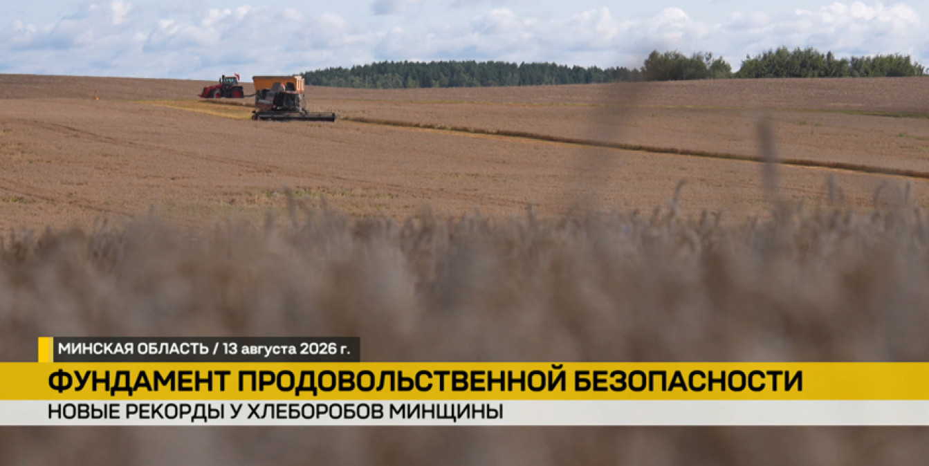 комбайны в поле на уборке урожая