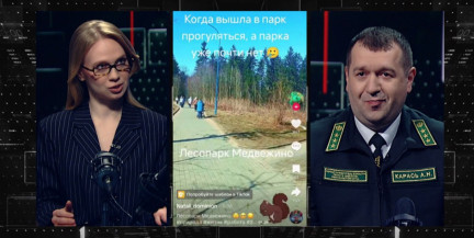 Будет стройка? Почему лесопарк «Медвежино» подвергся вырубке, объяснил эксперт