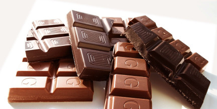 Подорожает ли шоколад в 2026 году, рассказали в Белгоспищепроме