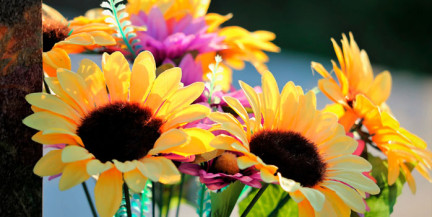 Миноблком природных ресурсов и охраны окружающей среды призывает белорусов отказаться от пластиковых цветов на кладбищах