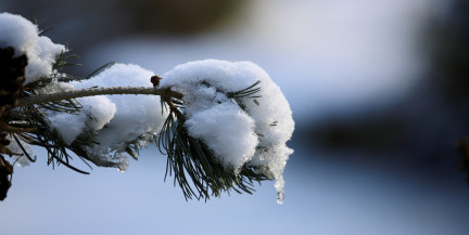 Надолго ли оттепель в Беларуси? Синоптики рассказали о погоде на 12-14 февраля