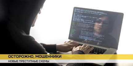 В Гомельской области – всплеск кибермошенничества. Почему люди доверяют позвонившему незнакомцу