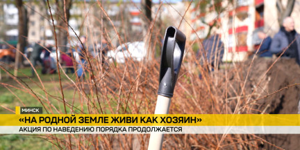 Белстат: более 2 млн человек приняли участие в республиканском субботнике