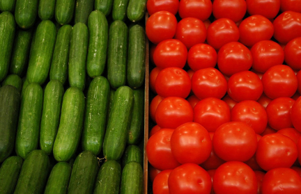 Хватит ли белорусам огурцов и томатов в межсезонье, рассказал Юрий Шулейко