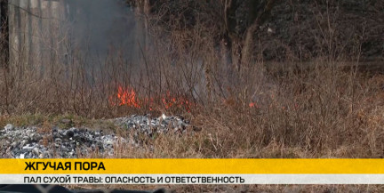 Чем может обернуться весенний пал травы и какие меры применяют к бытовым пироманам. Репортаж ОНТ