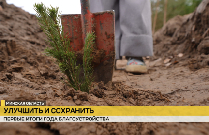 Первые итоги Года благоустройства. Масштабная кампания по улучшению населенных пунктов развернулась в Беларуси
