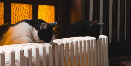 В Гродно «отключают» зиму: с 16 апреля тепло перестанет поступать в административные и промышленные здания