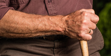 Назван улучшающий когнитивные функции у пожилых продукт