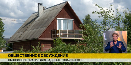 В Беларуси обсуждают новые правила для садовых товариществ: что изменится для дачников