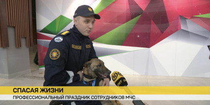 Вадим Синявский вручил государственные награды лучшим сотрудникам МЧС