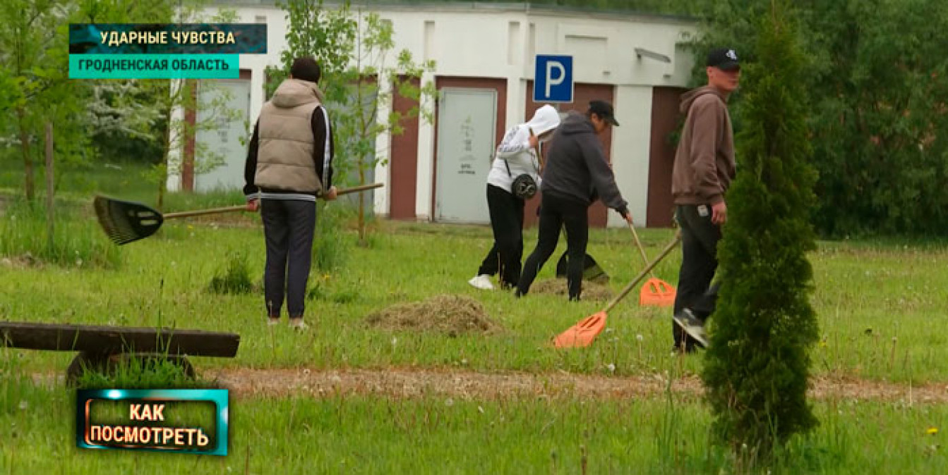 В Щучинском районе с помощью труда перевоспитывают сельских дебоширов