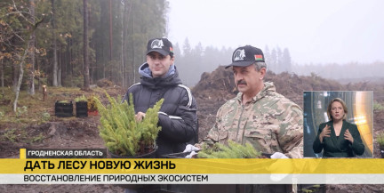 Профсоюзы Беларуси присоединились к акции «Дай лесу новае жыццё»