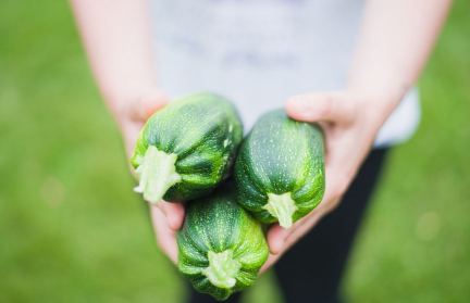 5 простых рецептов из кабачков: от завтрака до ужина